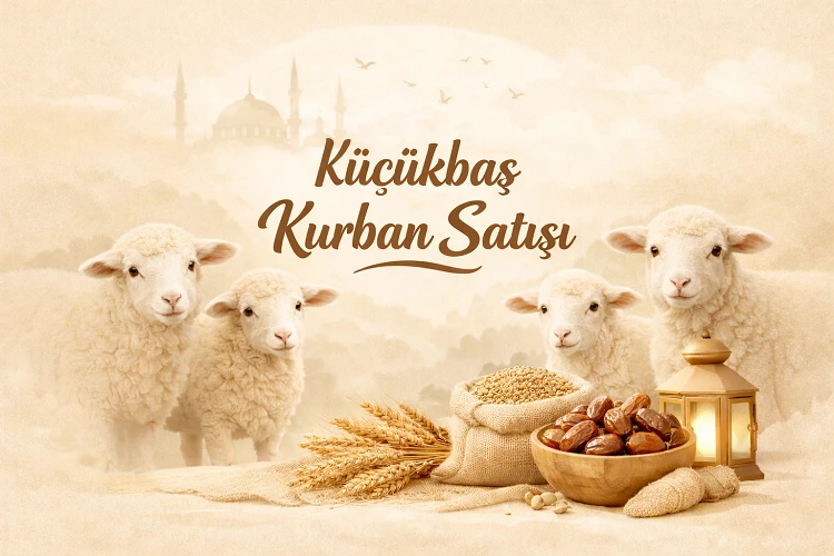 Bodrum Küçükbaş Kurban Satışı