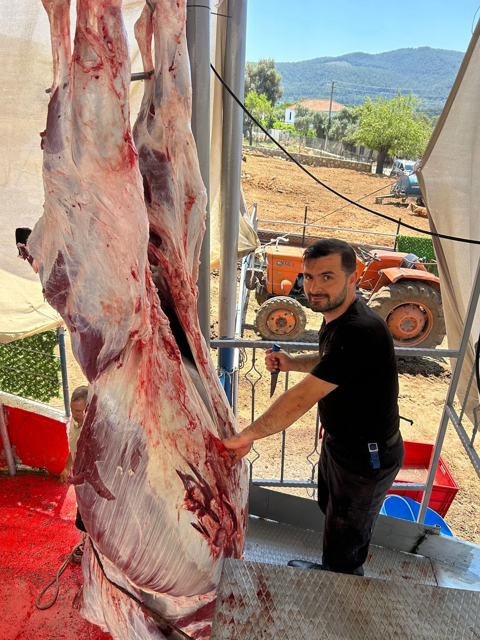 Alioğulları Besi Çiftliği